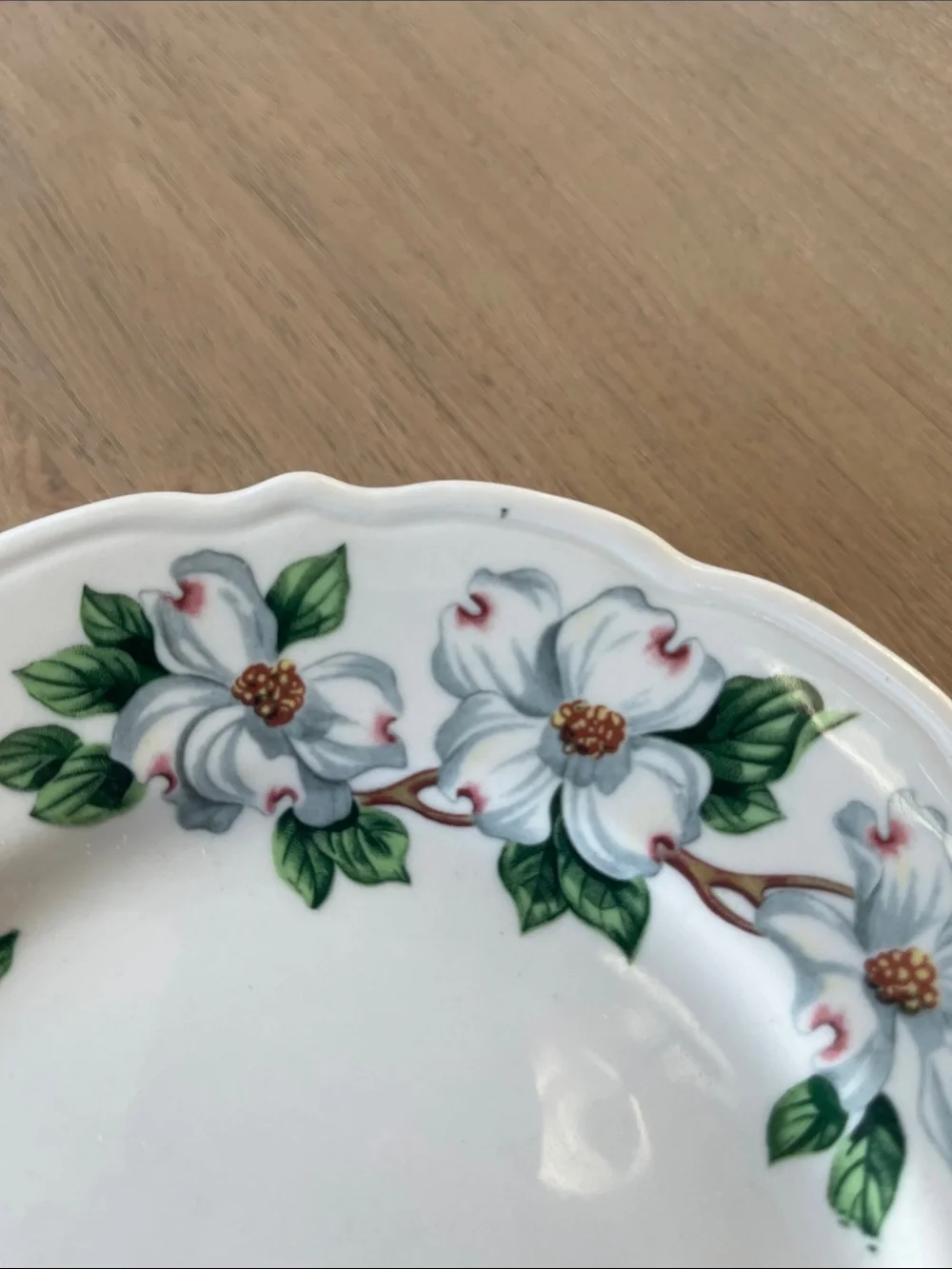 Syracuse China Restaurant Ware Dogwood Pattern Set of 7 Salad Plates USA 7.5”